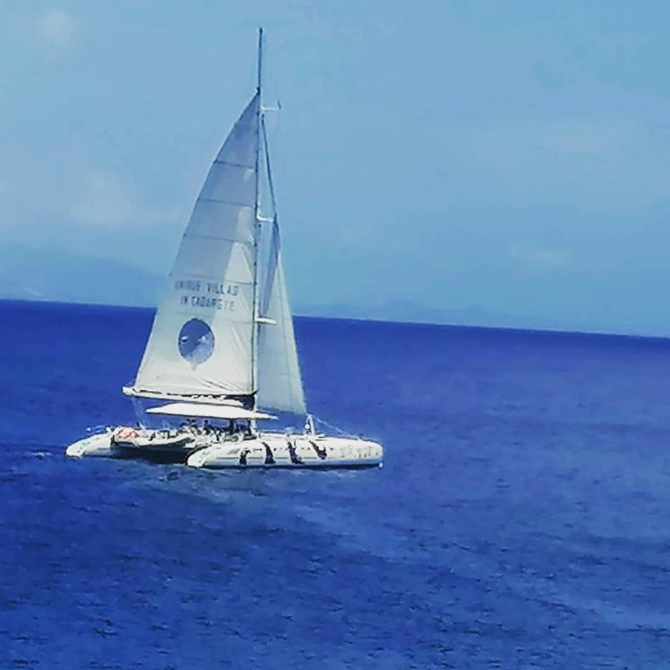 1671659657349-e1676019061655